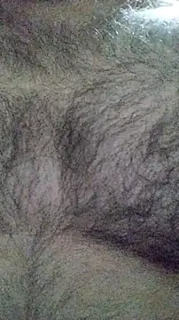 LeoMaduroSP online show from January 16, 7:45 am