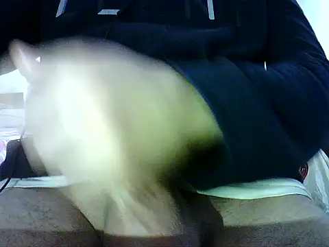 photo3995 online show from January 12, 9:47 am