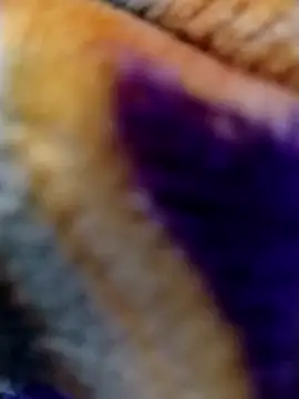 saneer69tew online show from May 28, 4:10 am