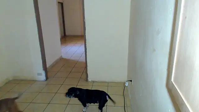 BlondZilla online show from February 1, 4:16 pm