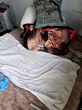 Wilsonn86 online show from February 9, 8:29 am