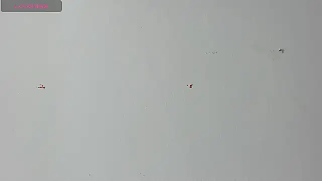 Lady miss    online show from April 18, 12:20 pm