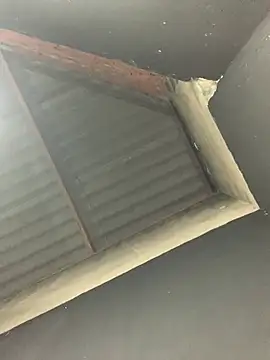 soueuweslley online show from March 10, 4:17 am