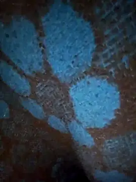 ParousFlow online show from January 19, 12:42 pm