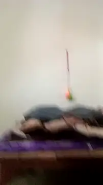 Guriya0076 online show from February 23, 11:07 am