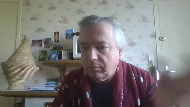 gegevincent online show from April 29, 9:24 am