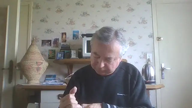 gegevincent online show from May 7, 11:15 am
