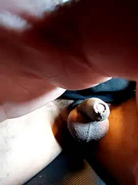 xneko  online show from February 1, 4:33 am