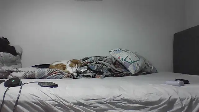 Snapshot of kocasosisli chatting on May 30, 5:43 pm kocasosisli online show from May 30, 5:43 pm
