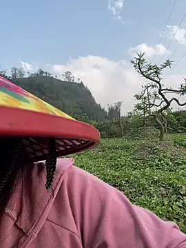 isaaa5 online show from March 24, 9:47 am