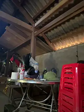 ThiHa003 online show from January 18, 5:11 am