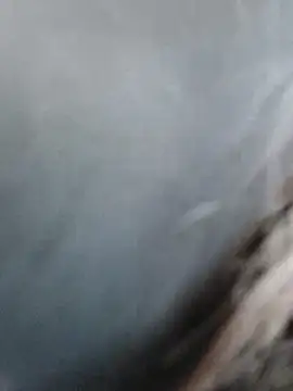 meomeocute online show from March 11, 10:21 am