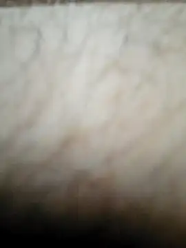 nikads0 online show from May 19, 1:39 pm