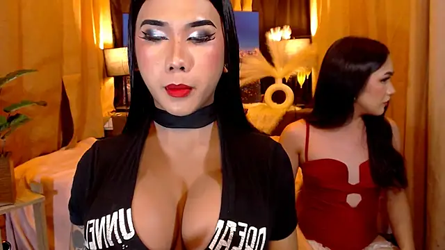 TRANSPORNIDOL online show from May 12, 5:21 pm