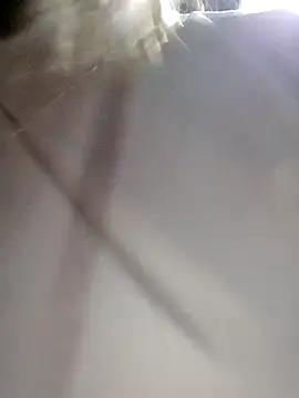 daisy will online show from December 3, 2:08 am