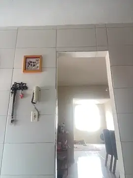 Junior17cm 1993 online show from February 28, 1:45 pm