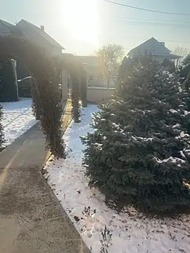 Michel huge online show from January 18, 7:56 am