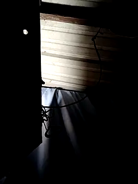 ShawnandDani7074 online show from April 14, 7:47 am