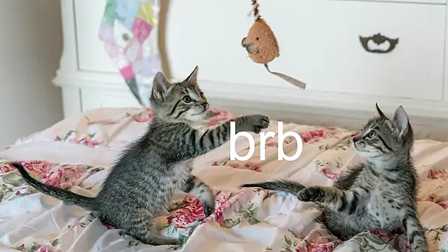 Pink girl0n online show from March 18, 9:51 pm