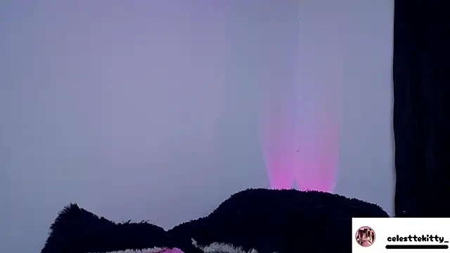 celestte evans 1 online show from March 6, 4:20 am