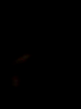 Snapshot of SofieLove_01 chatting on December 1, 7:35 am SofieLove 01 online show from December 1, 7:35 am