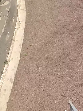 wsyx326 online show from March 25, 3:23 am