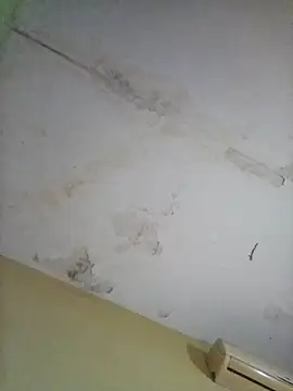 cometa267 online show from October 14, 5:58 pm