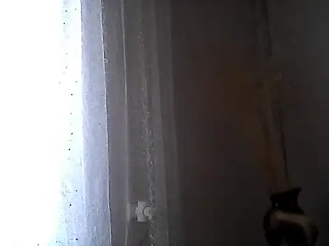 Snapshot of Littlecatme chatting on July 7, 7:23 am Littlecatme online show from July 7, 7:23 am