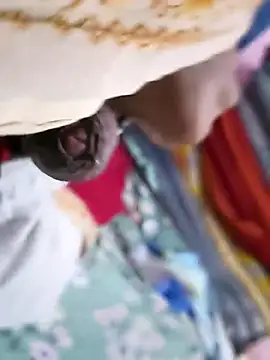 twpatil online show from January 13, 10:09 am