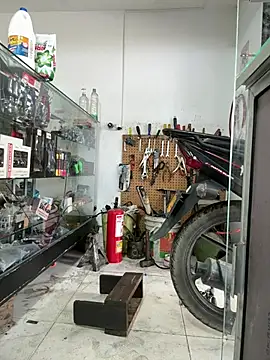 Terra-22cm online show from February 25, 1:54 pm