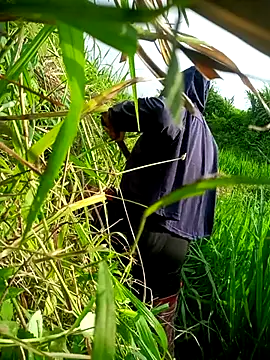 ttbiin online show from July 31, 9:19 am