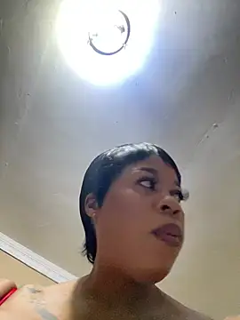 THICKBUNNYCHICKxxx online show from May 5, 8:17 pm