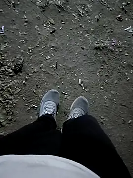 indian pavi online show from February 8, 4:21 pm