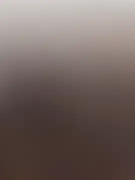 sana-5 online show from April 8, 3:45 pm