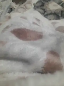 ratoncito 3 online show from January 16, 5:50 pm