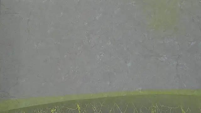 Snapshot of Draven_Marceaux chatting on July 3, 11:27 am Draven Marceaux online show from July 3, 11:27 am