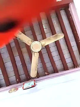 Snapshot of Love-pari077 chatting on February 5, 2:33 pm Love-pari077 online show from February 5, 2:33 pm