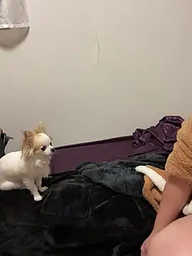 Snapshot of h415a812 chatting on November 4, 7:35 pm h415a812 online show from November 4, 7:35 pm