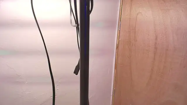 Terraelowen online show from February 22, 11:31 am