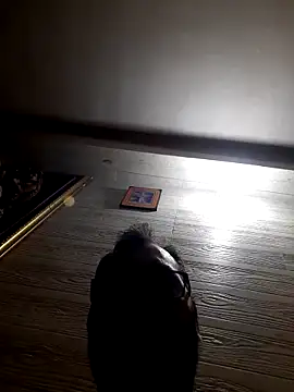 Hot-boy077 online show from February 4, 4:13 pm