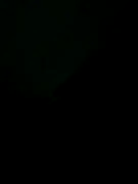 Snapshot of Liendro chatting on November 20, 1:39 am Liendro online show from November 20, 1:39 am