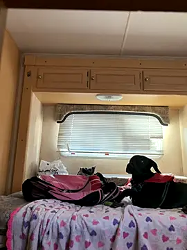 Snapshot of high3ndlowlife chatting on November 20, 4:40 pm high3ndlowlife online show from November 20, 4:40 pm