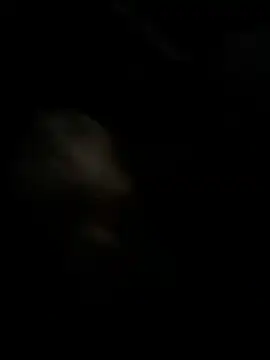 Snapshot of high3ndlowlife chatting on November 27, 2:13 am high3ndlowlife online show from November 27, 2:13 am