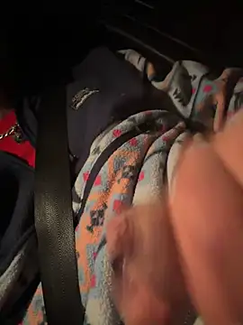 Snapshot of high3ndlowlife chatting on November 29, 4:04 am high3ndlowlife online show from November 29, 4:04 am