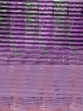 its Surya BBC online show from December 4, 7:44 pm