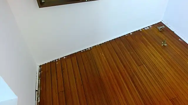 shelbygp online show from March 5, 12:01 pm