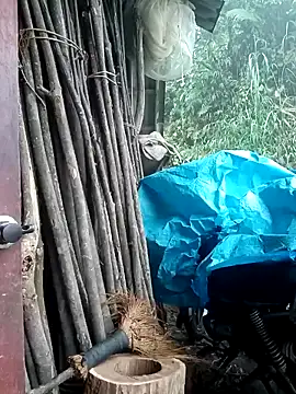 Ruaiuoi online show from March 8, 12:41 am