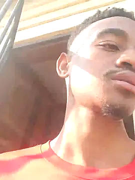 gemini loops online show from September 13, 1:44 pm