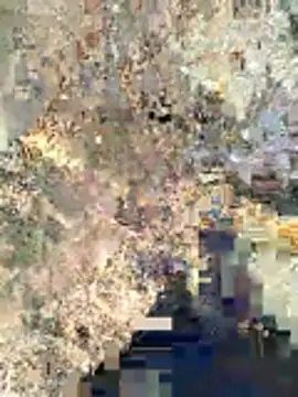 Snapshot of sexy_boy_47 chatting on February 12, 3:34 am sexy boy 47 online show from February 12, 3:34 am