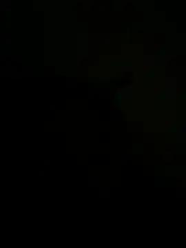 FirstTimeEvr online show from July 7, 7:34 am